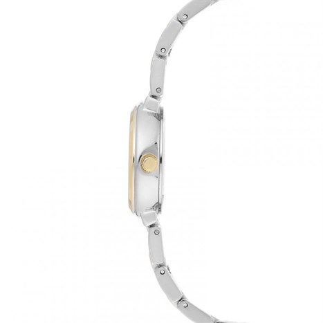 Đồng hồ ANNE KLEIN 26 mm Nữ AK/3529SVTT Màu Vàng