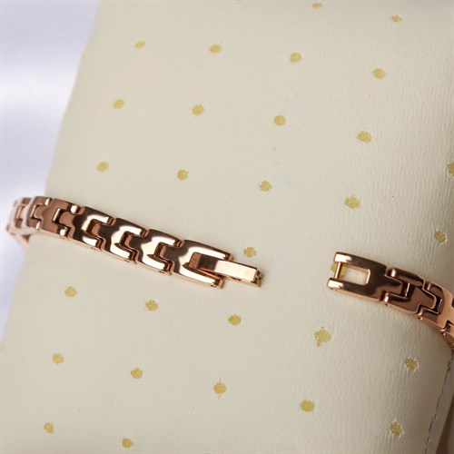 Đồng hồ Nữ SR Watch SL6654.1303 Màu Vàng