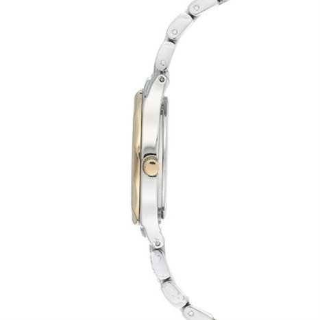 Đồng hồ ANNE KLEIN 26 mm Nữ AK/3491SVTT Màu Bạc