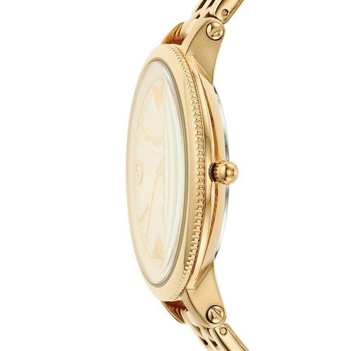 Đồng hồ FOSSIL 38 mm Nữ ES4945 Màu Vàng