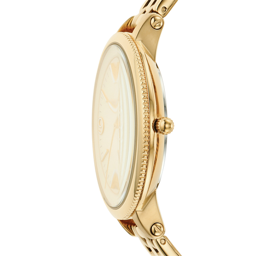 Đồng hồ FOSSIL 38 mm Nữ ES4945 Màu Vàng