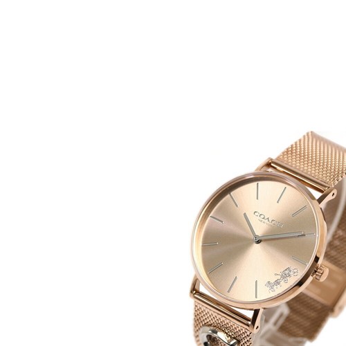 Đồng hồ COACH 36 mm Nữ 14503338 Màu Vàng Hồng