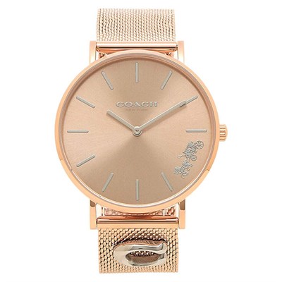 Đồng hồ COACH 36 mm Nữ 14503338