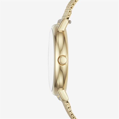 Đồng hồ SKAGEN 30 mm Nữ SKW2693 Màu Vàng