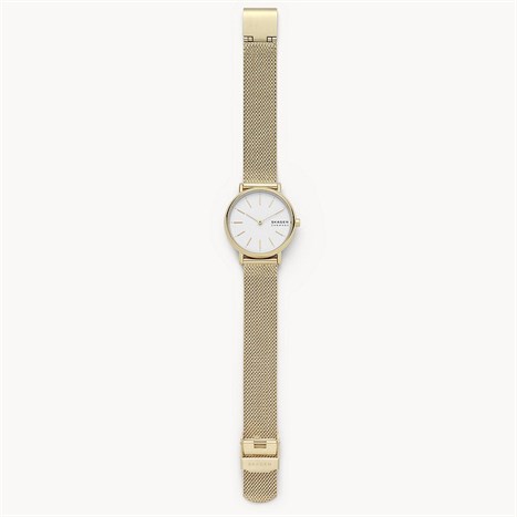 Đồng hồ SKAGEN 30 mm Nữ SKW2693 Màu Vàng