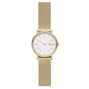 Đồng hồ Nữ Skagen SKW2693