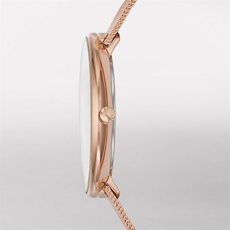 Đồng hồ Nữ Skagen SKW2142 Màu Vàng Hồng