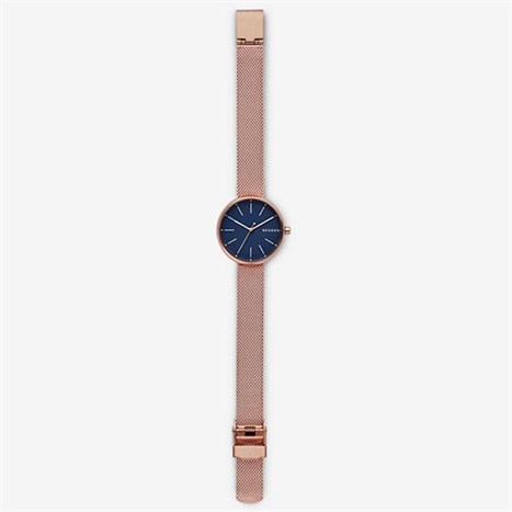 Đồng hồ Nữ Skagen SKW2593 Màu Vàng Hồng