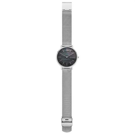 Đồng hồ Nữ Skagen SKW2730 Màu Bạc