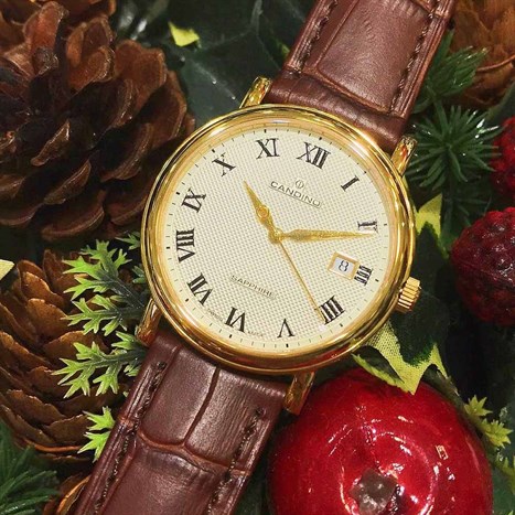 Đồng hồ CANDINO 38 mm Nam C4489/4 Màu Nâu