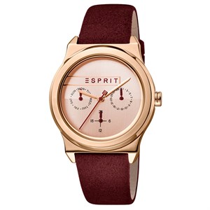 Đồng hồ Nữ Esprit ES1L077L0035