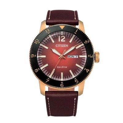 Đồng hồ Citizen 43.5 mm Nam AW0079-13X