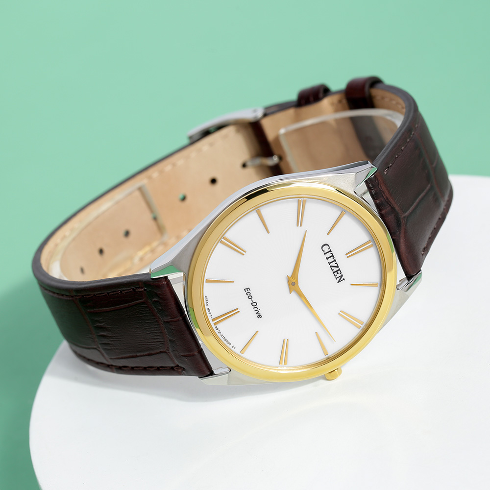 Đồng hồ CITIZEN 38.4 mm Nam AR3074-03A