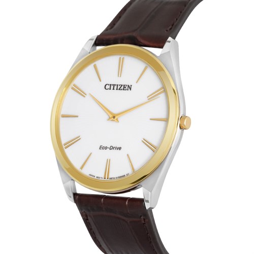 Đồng hồ CITIZEN 38.4 mm Nam AR3074-03A Màu Nâu