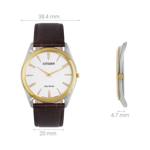 Đồng hồ CITIZEN 38.4 mm Nam AR3074-03A Màu Nâu