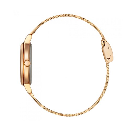 Đồng hồ CITIZEN 31 mm Nữ EW2447-89A Màu Vàng