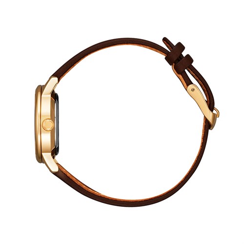 Đồng hồ CITIZEN 29 mm Nữ EW2593-10X Màu Nâu