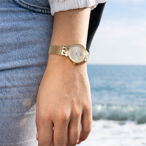 Đồng hồ Festina 30.5 mm Nữ F20598/2 Màu Vàng đồng