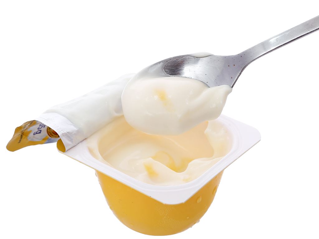Lốc 4 hũ váng sữa Zott Monte vị vani 55g (từ 6 tháng) 8