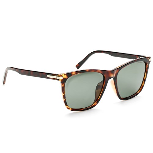 Mắt kính thời trang Nam Polaroid PLD2078FS_57_086_UC Màu Nâu