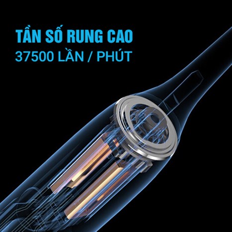 Bàn chải điện Flyco FT7105VN (Tặng 1 đầu bàn chải)