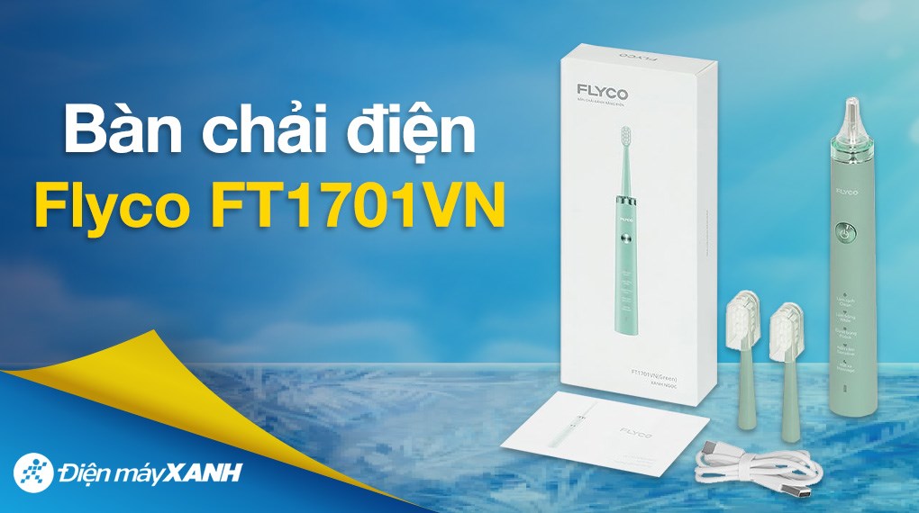 Bàn chải điện Flyco FT1701VN