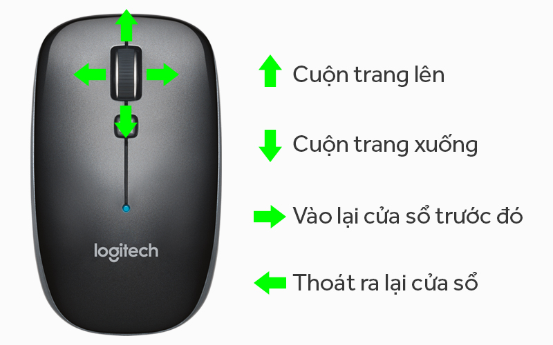 Cách lăn điều khiển chuột Bluetooth Logitech M557