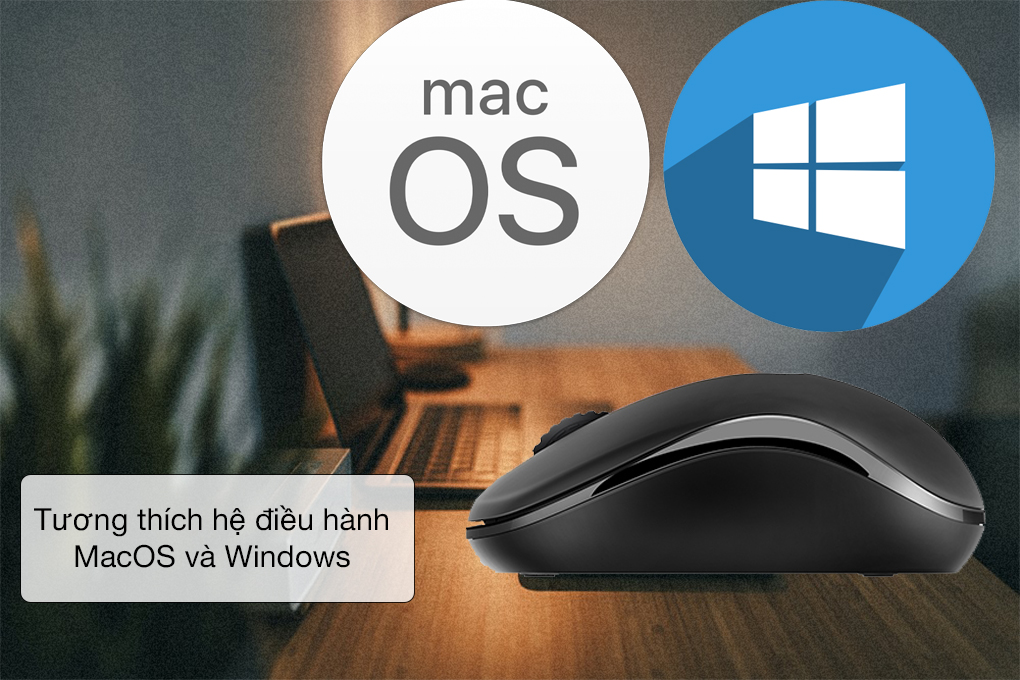 Hỗ trợ Windows và MacOS - Chuột Không Dây Rapoo M216 Đen