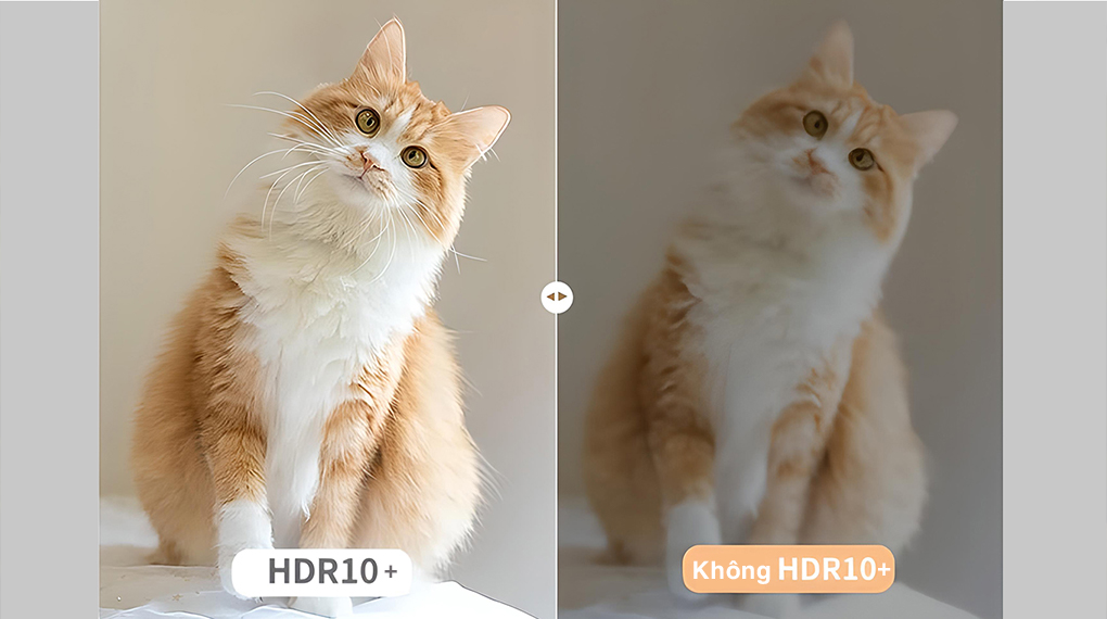 Máy chiếu Wanbo T4 Full HD Trắng - Công nghệ HDR 10+ giúp hiển thị chân thực