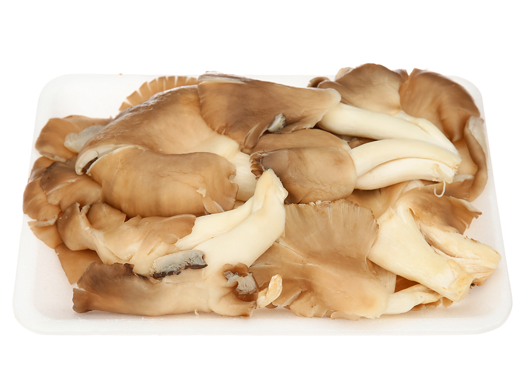 Nấm bào ngư xám gói 300g 16