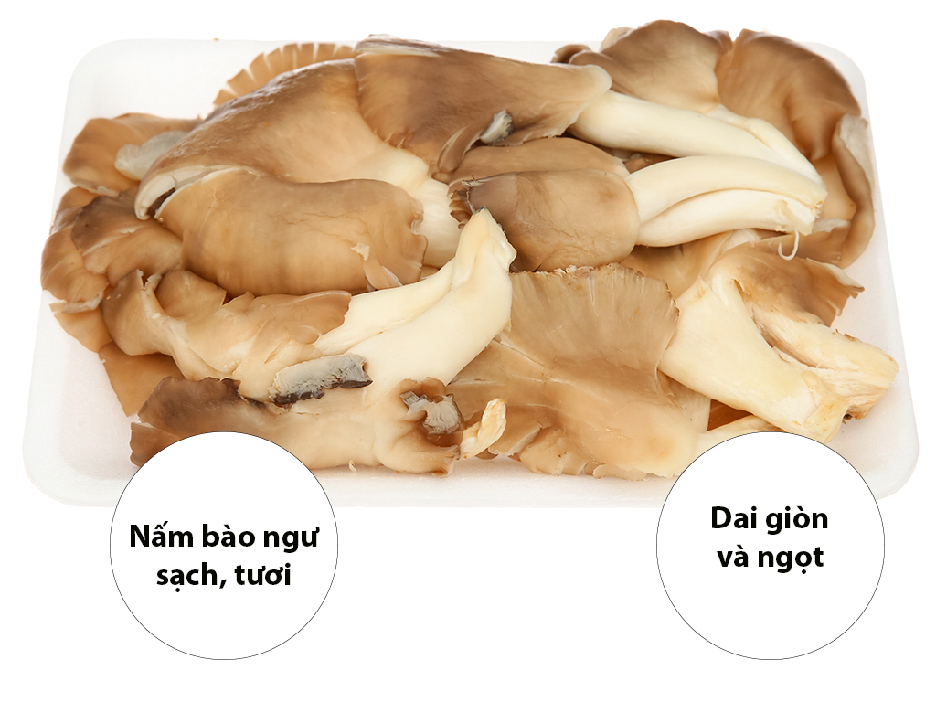 Nấm bào ngư xám gói 300g 1