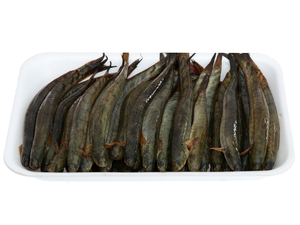 Cá kèo 500g (20 - 23 con) 12