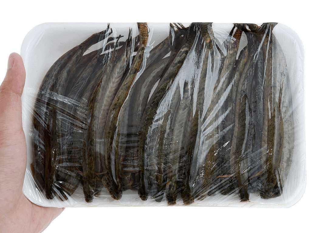 Cá kèo 500g (20 - 23 con) 17