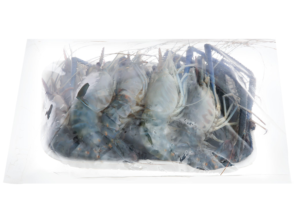 Tôm càng xanh khay 500g (10 - 15 con) 6