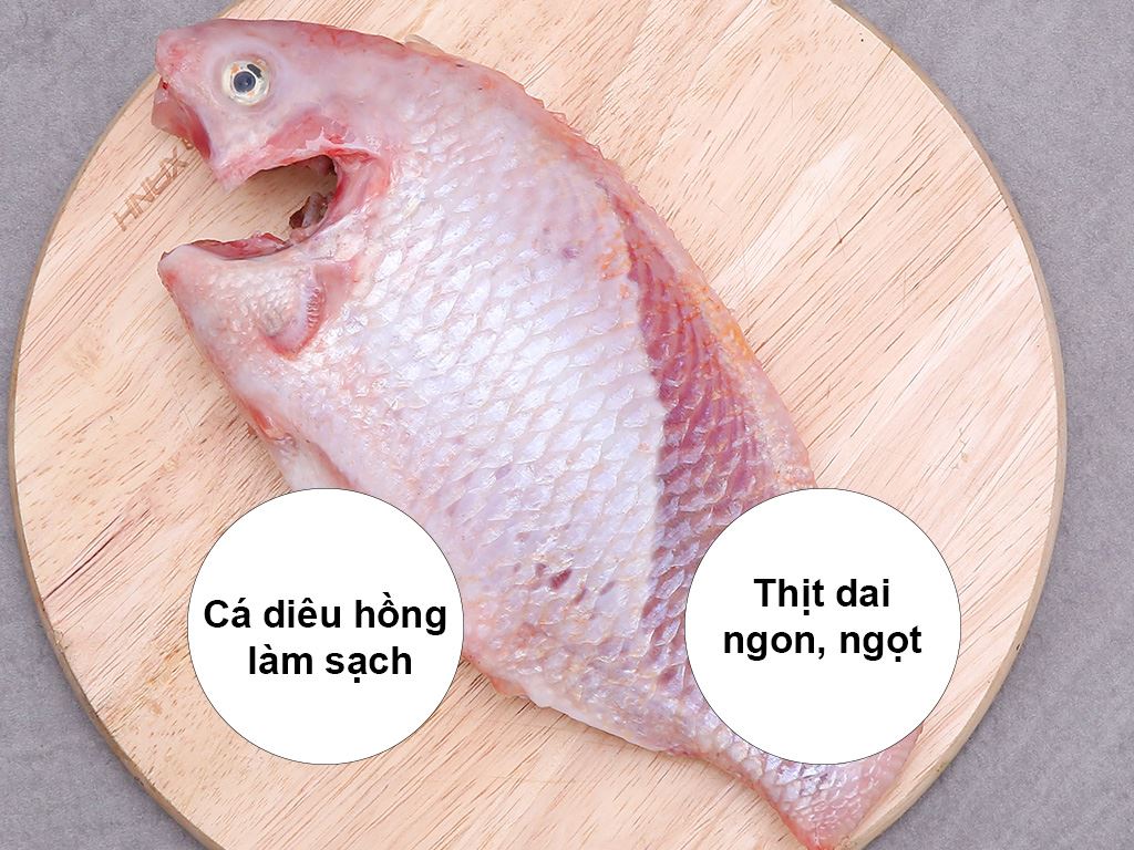 Cá Diêu Hồng Làm Sạch Bao Nhiêu Tiền 1 Kg? Mua Ở Đâu Giá Rẻ? ❤️ Top Yêu Thích