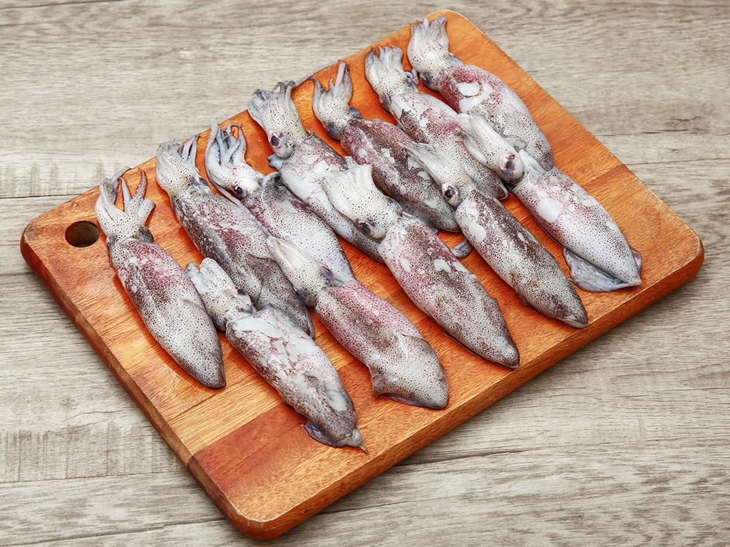 Mực ống nguyên con khay 500g (10 - 13 con) 3