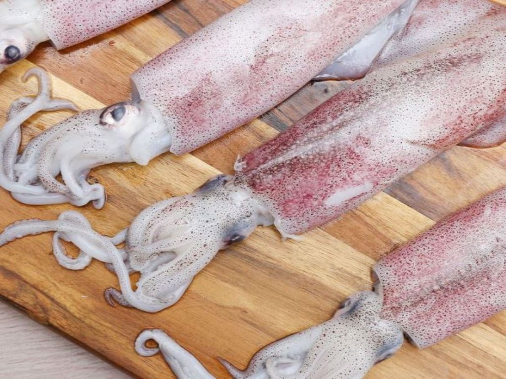 Mực ống nguyên con khay 500g (15 - 20cm/con) 4