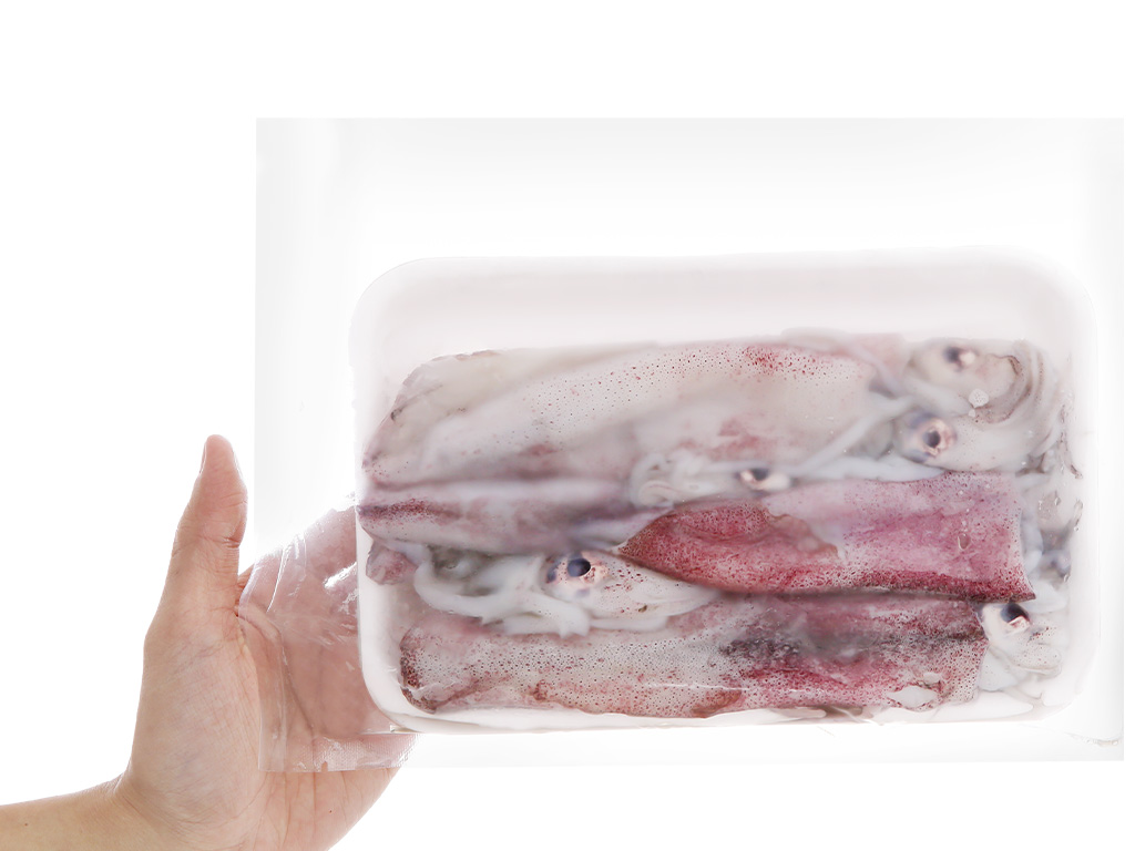 Mực ống nguyên con khay 500g (10 - 13 con) 17