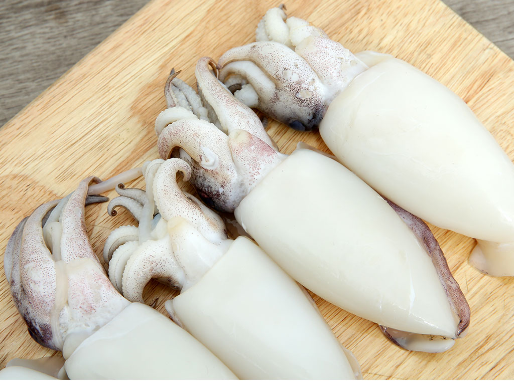 Mực nút nguyên con khay 500g (5 - 8 con) 11