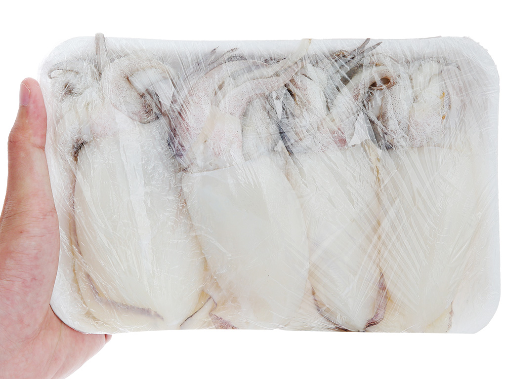 Mực nút nguyên con khay 500g (5 - 8 con) 13