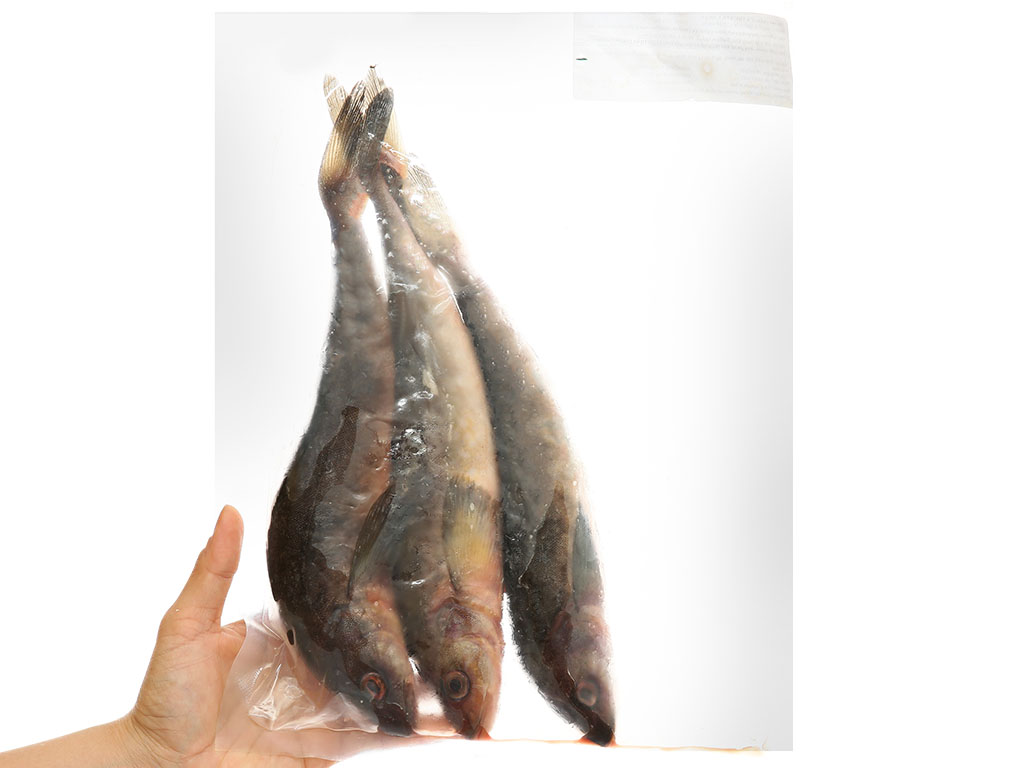 Cá thu Atka nhập khẩu đông lạnh túi 500g (2-4 con) 5