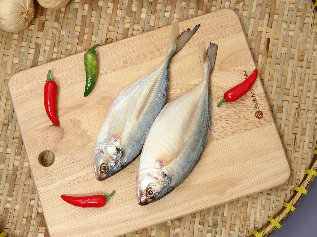 Cá ngân túi 500g 2