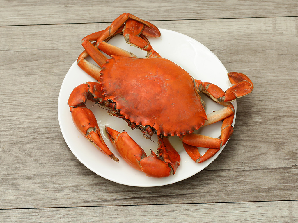 Cua thịt Cà Mau hộp 1 con (250g - 300g) 14