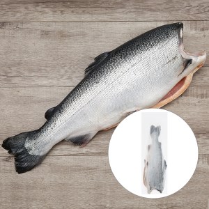 Cá hồi nguyên con đông lạnh từ 3.4kg