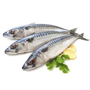 Cá sòng đông lạnh 1kg (3-6 con)