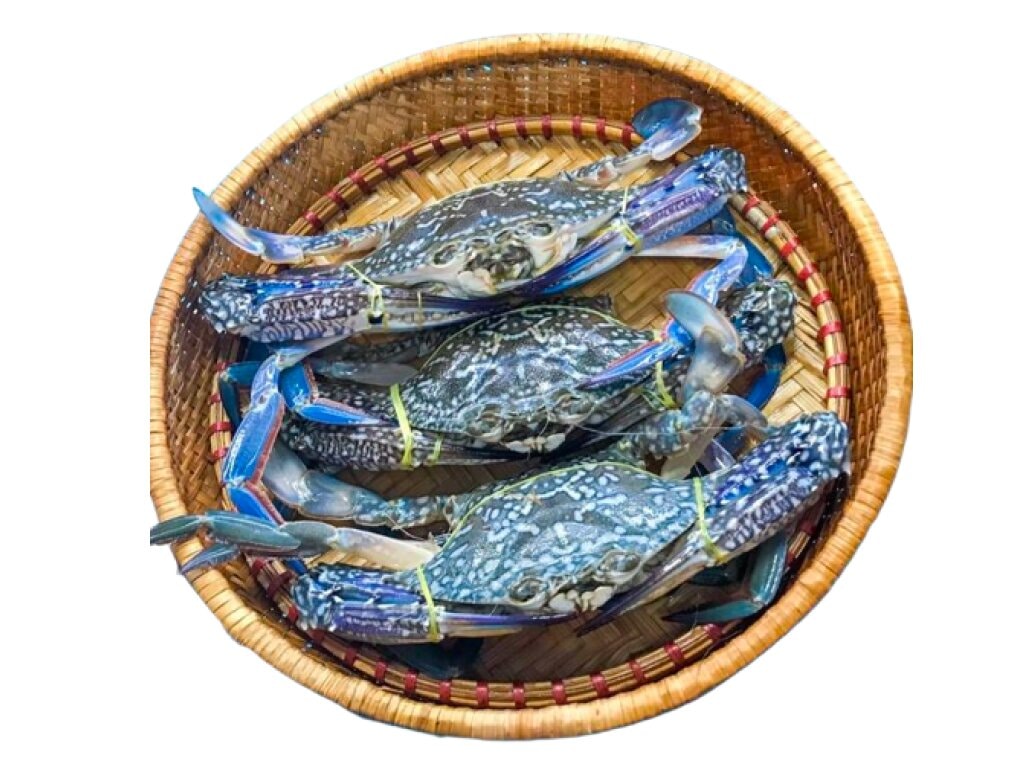 Ghẹ sống (con) giá rẻ tại Bách hoá XANH