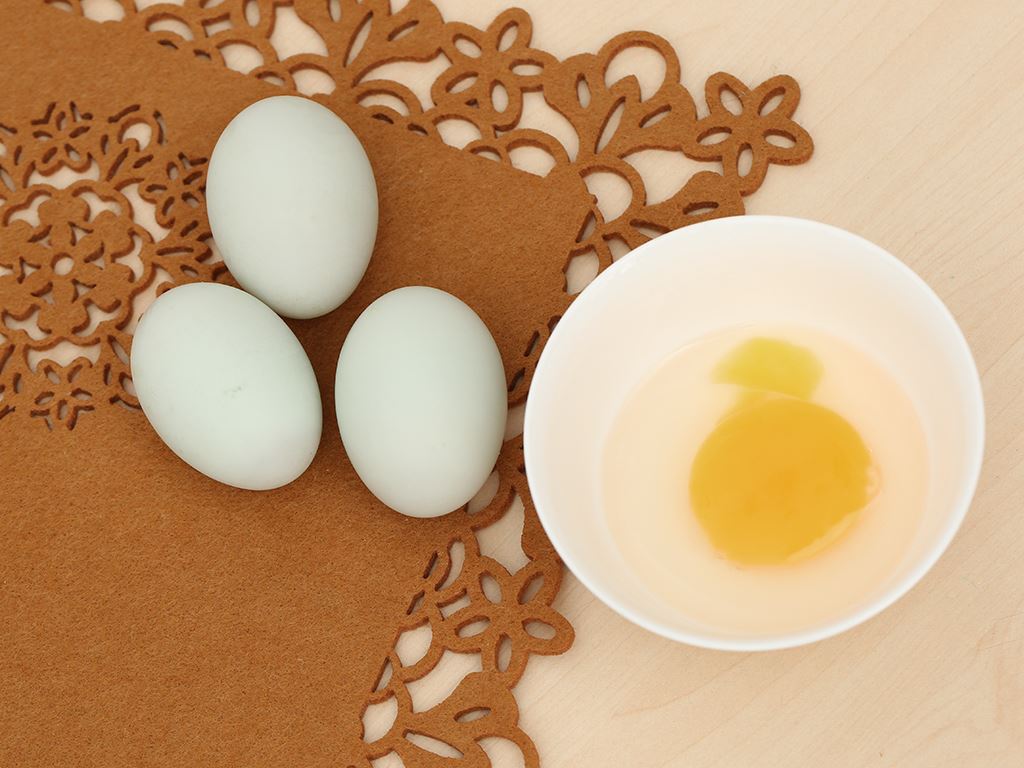 Trứng Gà, Trứng Vịt Loại Nào Bổ Hơn?