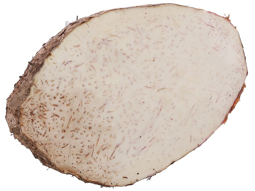 Khoai môn túi 500g (1 củ) 14