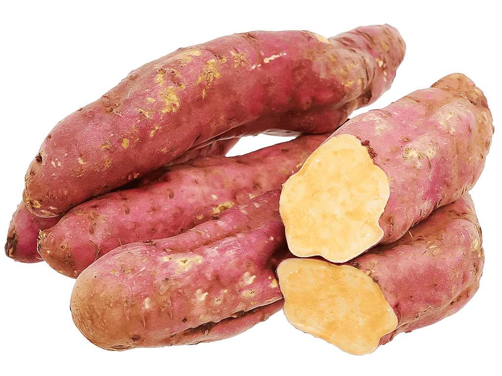 Khoai lang mật túi 1kg (2-4 củ) 8