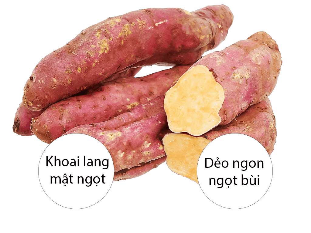 Khoai lang mật túi 1kg (2-4 củ) 5